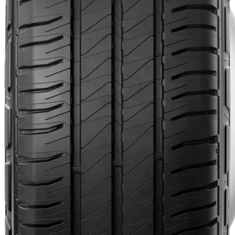 Agilis 3 - Image 5